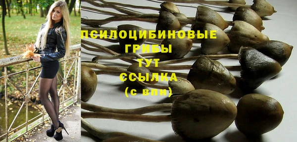 кокаин премиум Няндома