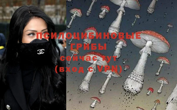 кокаин премиум Няндома