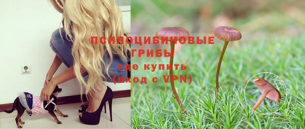прущий лед Пересвет