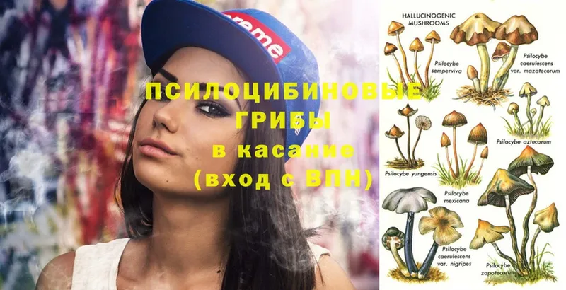 Галлюциногенные грибы MAGIC MUSHROOMS  где можно купить   Исилькуль 